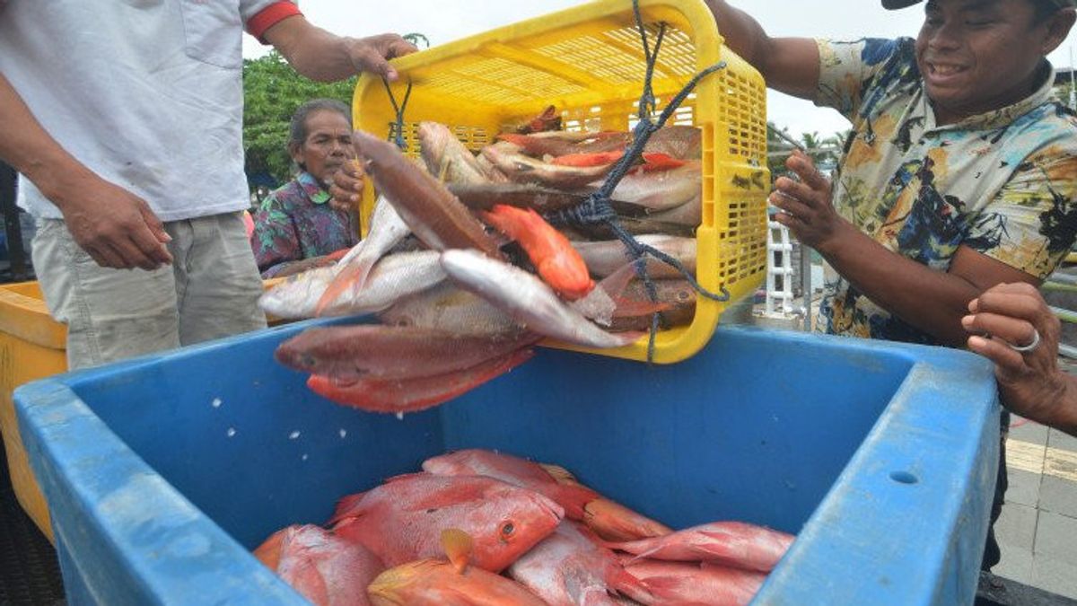 KKP Calls The SFV Program In Gondol Bali Successfully Improves The Realization Of PNBP Fisheries Services