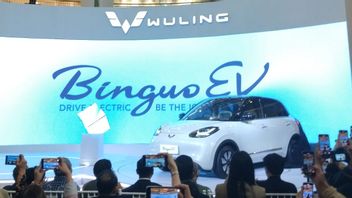 五菱正式にインドネシアで新型電気自動車、ビンゴエブを発表