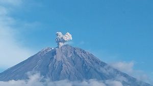 スメル山噴火、噴火は山頂から700メートルに達する