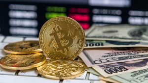 ビットコインの新しい金持ちは100%以上増加しています、これは証拠です!