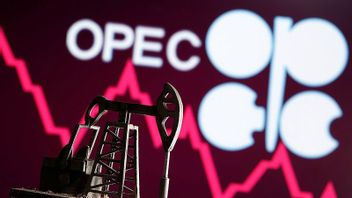 OPEC Keeps World Oil Prospects Predictions Will Increase In One Decade