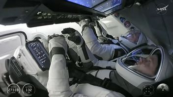 Misi SpaceX Crew-11 Resmi Berakhir Setelah 167 Hari di Stasiun Luar Angkasa 