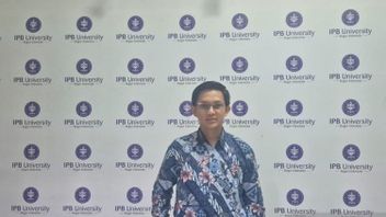 IPB University Tangani Dugaan Pelecehan Seksual, Jamin Perlindungan Korban