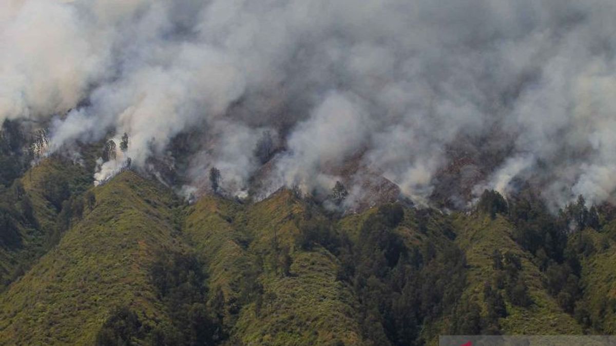It's Been 5 Days And It's Getting Wider, The Ministry Of Environment And Forestry Reveals Access And Medan's Difficulty Extinguishing On Mount Bromo