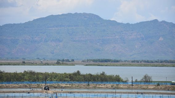 Bentrok dengan Pasukan Pemberontak, Penjaga Perbatasan Myanmar Melarikan Diri ke Bangladesh