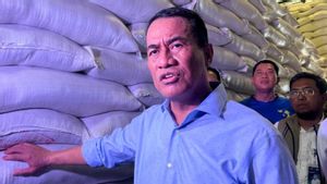 Government Strengthens Interventions to Maintain Food Prices at Producers-Consumers