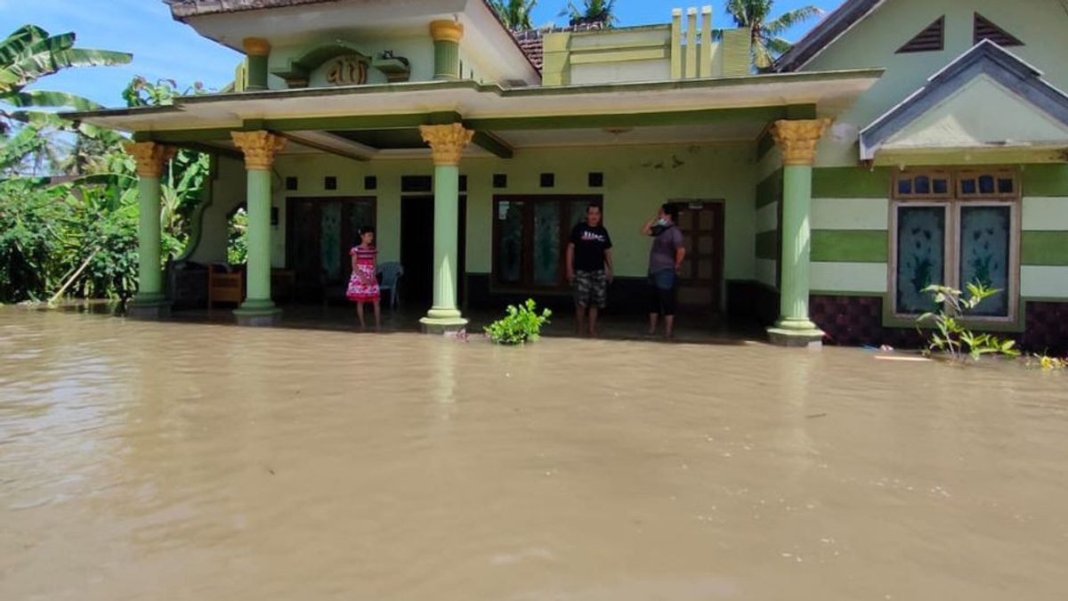 Banjir di Jember Rendam Ratusan Rumah di Desa Mundurejo, Warga: Baru Sekarang Banjir Parah
