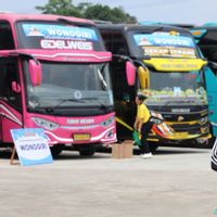 Kemenhub Siapkan 520 Bus untuk Mudik Gratis Lebaran 2025, Pendaftaran Dibuka Besok!