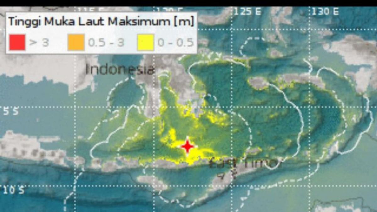 BPBD Flores Timur Sebut Gedung Rumah Sakit di Larantuka Retak Pasca Gempa Magnitudo 7,4