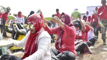 Perayaan HUT RI di Sumsel Menyesuaikan Kebijakan PPKM dari Tiap Daerah