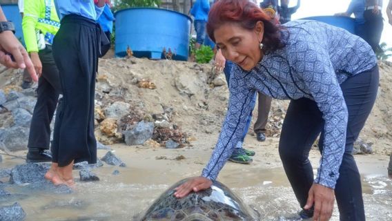 Susi Pudjiastuti Répondre Commentaires Net-citoyens Après Retweetage De La Dette Publique Indonésienne