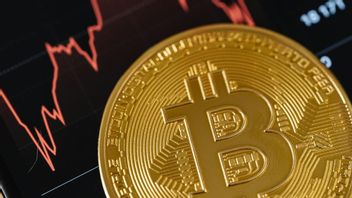 جاكرتا - أصبح اتجاه Bullish Bitcoin أقوى بعد الانتخابات الرئاسية الأمريكية ، هل سيستمر؟