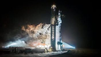 SpaceX希望在3月14日飞行星际飞船