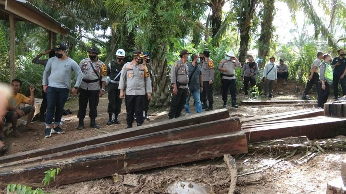 Police Seize 127 Meranti Logs From Illegal Logging In The Muarojambi Protected Forest