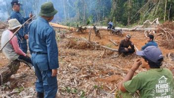 Gakkum Sulawesi Arrests Village Head Who Is Suspected Of Encroaching Conservation Forest For Nature Reserves