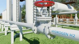 PLN Gandeng JERA Kembangkan Bisnis Gas hingga Hidrogen Hijau