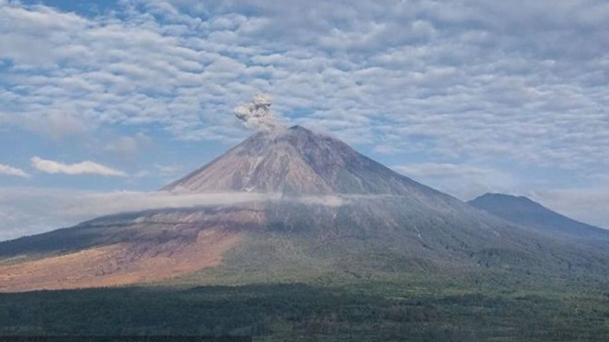 Semeru Kembali Meletus Kamis Pagi, PVMBG Tetapkan Status Siaga