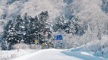 北海道积雪变厚，部分交通瘫痪