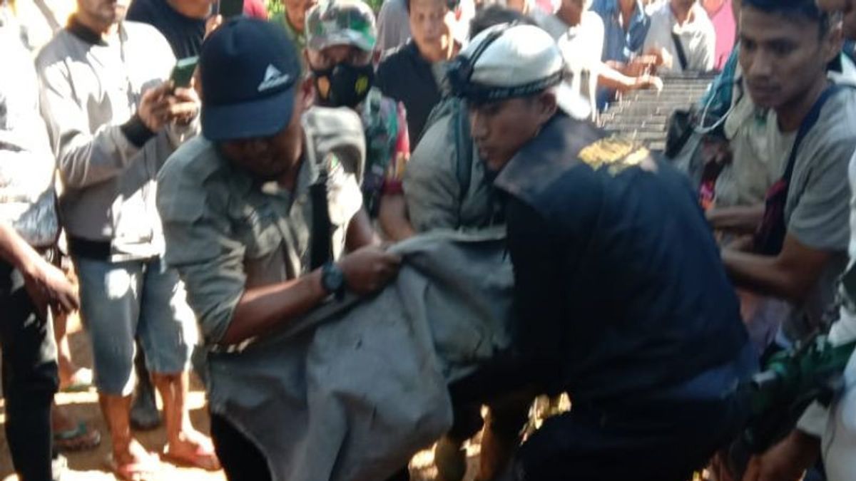 苏门答腊老虎在陷阱笼中疏散到PRHSD，如果健康，将被释放