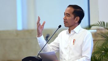 Jokowi's Recipe For Preventing COVID-19: Temulawak, Ginger, Lemongrass, Turmeric, And Empon-Empon
