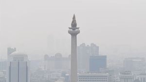Keseriusan Pemerintah Mengatasi Polusi Udara Patut Dipertanyakan