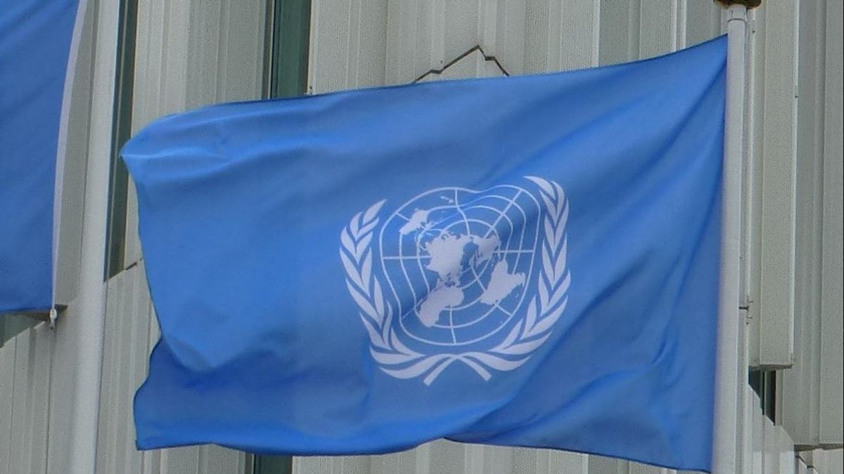 联合国敦促塔利班解除对阿富汗当地妇女援助工作者的工作禁令