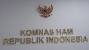 Komnas HAM Reveals 113 Human Rights Events Occur In Papua During 2024