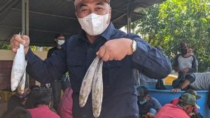Lebaran, KKP Bagikan Paket Ikan Segar 2,5 Ton di Karawang