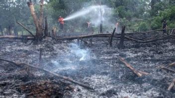 896 全年2023年,巴别森林和陆地火灾损失达到1500亿印尼盾