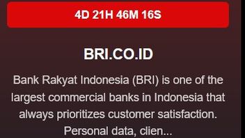 BRI Allegedly Affected By Ransomware, Safe Customer Data And Funds?