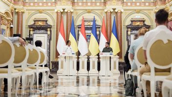 顾问呼吁泽伦斯基总统考虑参加在印度尼西亚举行的G20峰会，如果弗拉基米尔·普京亲自出席