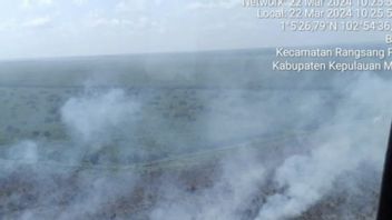 梅兰蒂廖内群岛的森林和陆地火灾蔓延到占地40公顷的植物用地