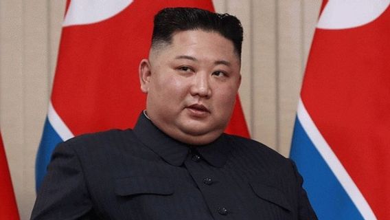 金正恩の残酷な命令を訴え、市民にすべての猫を殺すよう求める