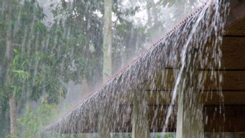 Prakiraan Cuaca Bengkulu 01 Maret, Sebagian Besar Wilayah Hujan Ringan di Malam Hari 