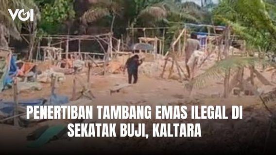 Penertiban Tambang Emas Ilegal di Sekatak Buji Kaltara