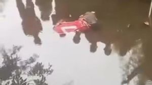 Warga Pluit Heboh, Teriak Temukan Mayat laki-laki Mengambang di Kali Penjaringan