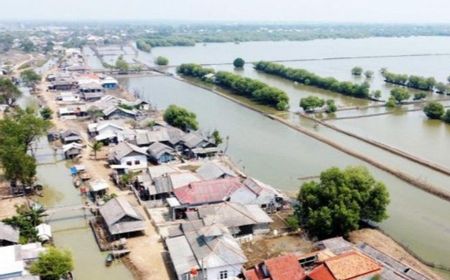 14.000 Hektare Lahan Hutan Muaragembong di Kabupaten Bekasi Menanti Sertifikasi