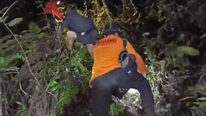 Basarnas sauve 2 ressortissants britanniques disparus sur le mont Agung