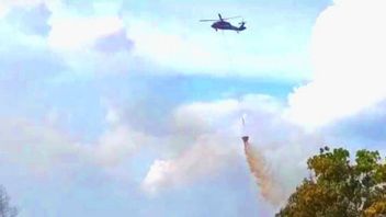 BNPB在中加里曼丹发现了63个森林和陆地火灾点