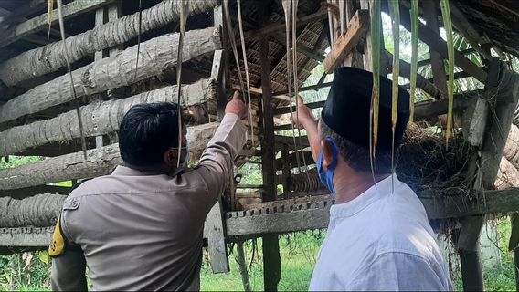 Diduga Stres Terlilit Utang, Pria di Sergai Sumut Bunuh Diri di Kandang Kambing