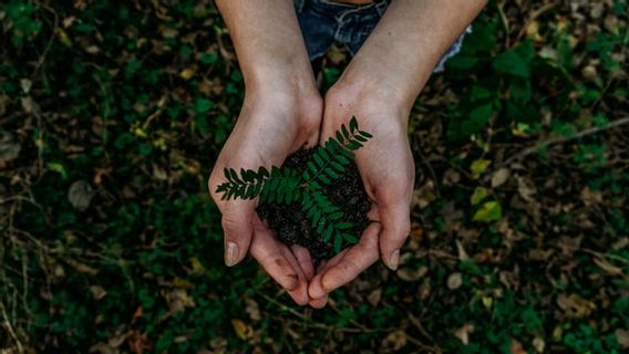 植林活動で環境を配慮した健康で活発な社会づくり