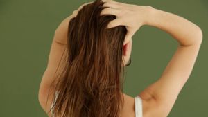 Is It True That Hair Oil Can Cause Hair Loss? Here's The Scientific Explanation