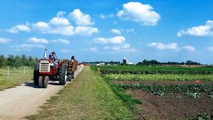 Trump Siapkan Bantuan 12 Miliar Dolar AS untuk Petani AS Terdampak Tarif