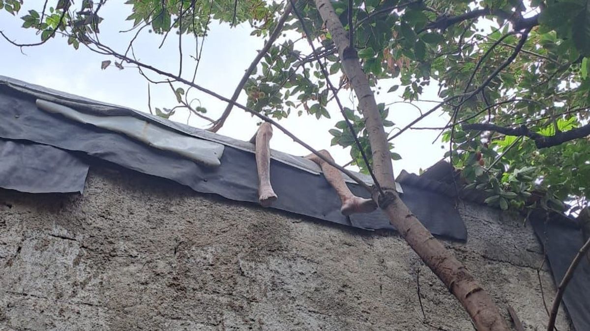 Suspicious Of Sleeping All Day Not Waking Up, Elderly 72 Years Died On The Roof Of The House