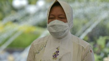Mensos Risma Perintahkan Pelepasan Pasung ODGJ di Palembang
