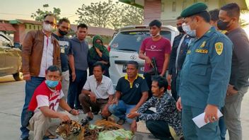 ضباط مشتركون يعتقلون أربعة من بائعي جلد النمر في كامبار رياو