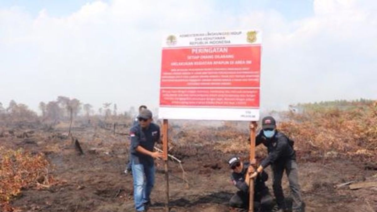 环境和林业部在西加里曼丹被烧毁地区的土地标记