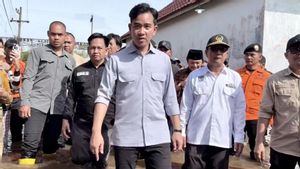 Wapres Tegaskan Prabowo Segera Hentikan Izin Tambang Jika Picu Banjir