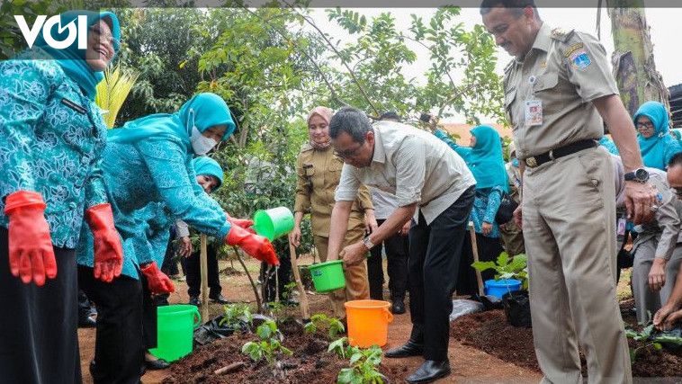 Pj Gubernur DKI Serahkan 6 Ribu Bibit Cabai Jaga Ketahanan Pangan