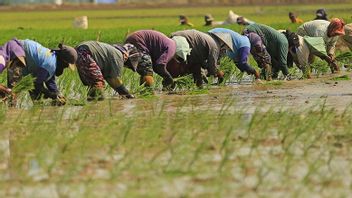 農民の福祉増加、VAT大臣スハルソ・モノアルファは2023年までに極度の貧困率を0%引き下げる